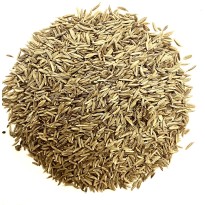 Carvi graines