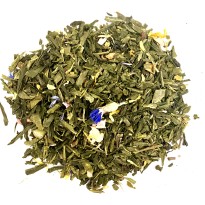 Temple Tibétain BIO