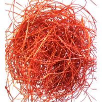 Piment cheveux d'ange