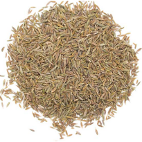 Cumin graines